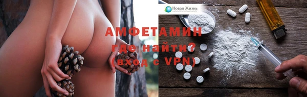 трава Аркадак