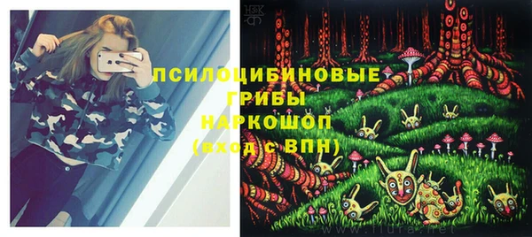 трава Аркадак