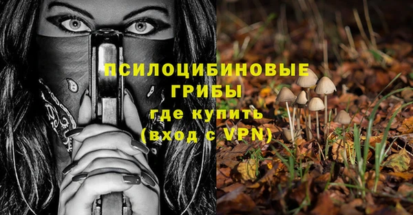 прущие крисы Арсеньев