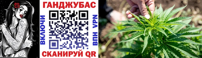 Бошки марихуана марихуана  Райчихинск 